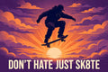 Don't Hate Just SK8TE Sunset Tee